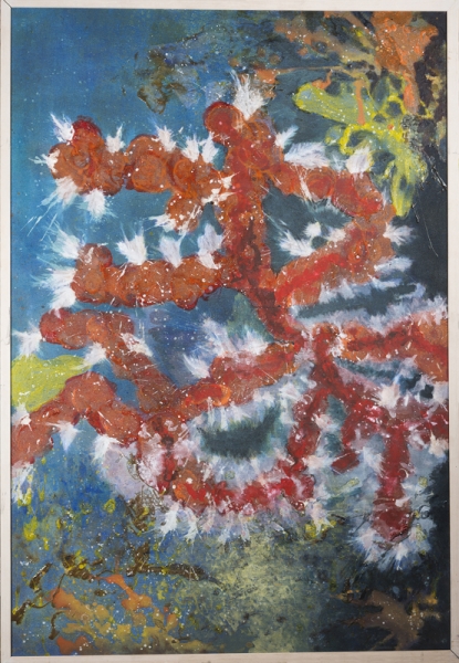 Les bijoux de la mer